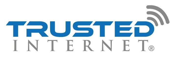 TI Logo - Trademarked-3